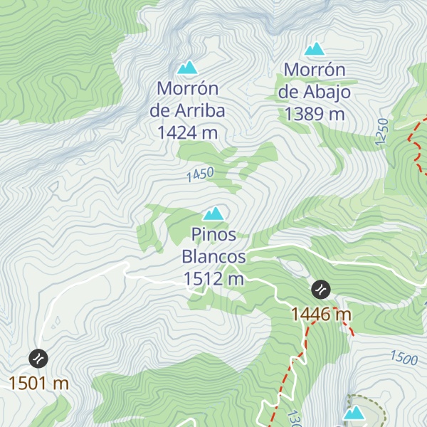 Map of Pinos Blancos