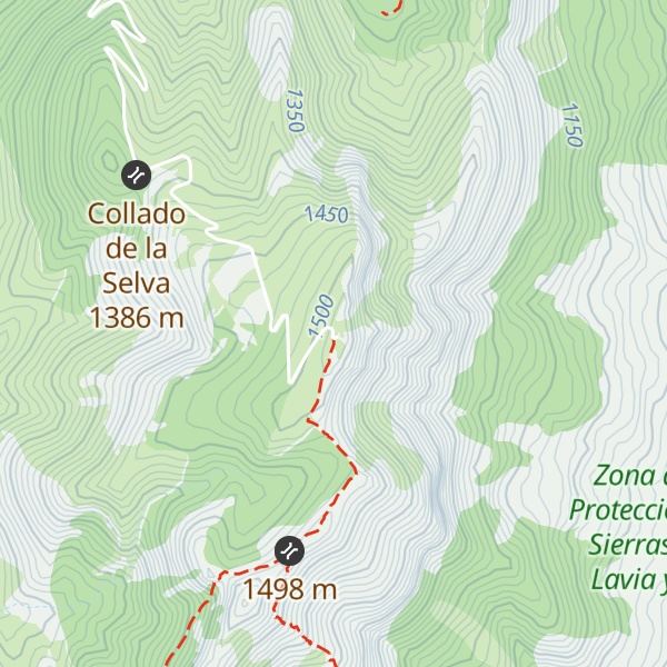 Map of Cerro de la Selva