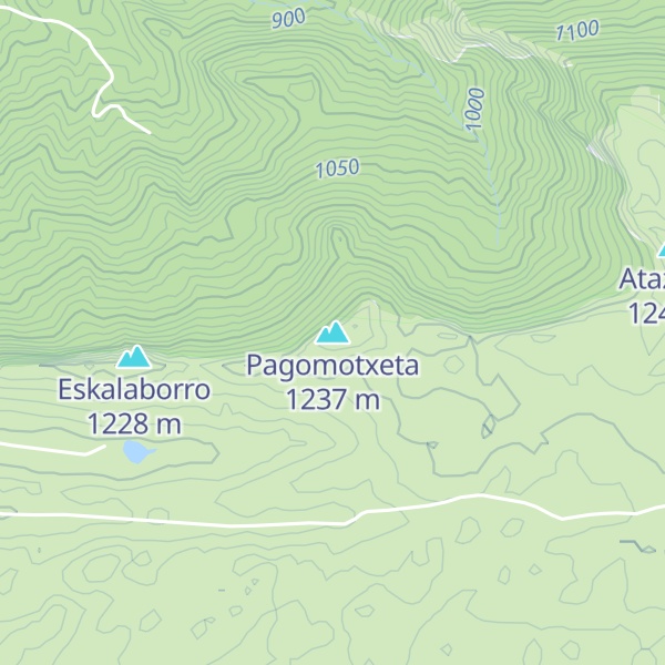 Map of Pagomotxeta