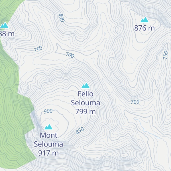 Map of Fello Selouma