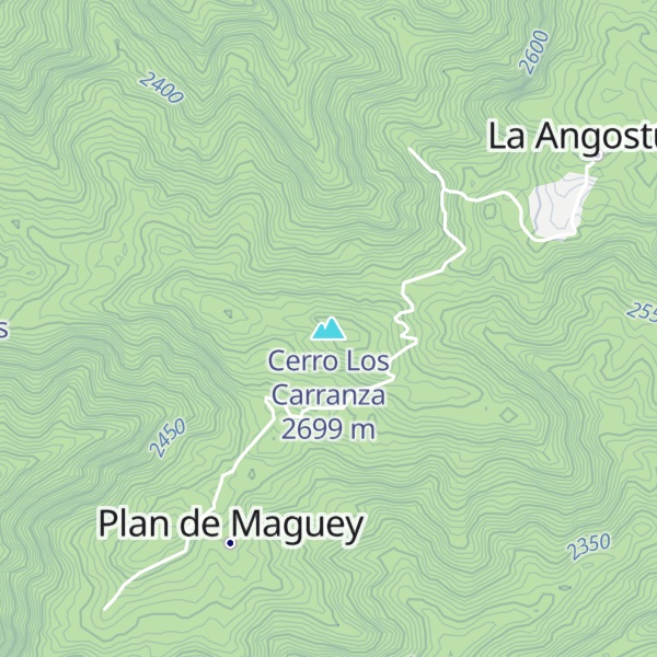 Map of Cerro Los Carranza