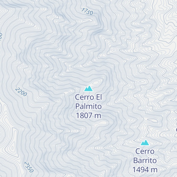 Map of Cerro El Palmito