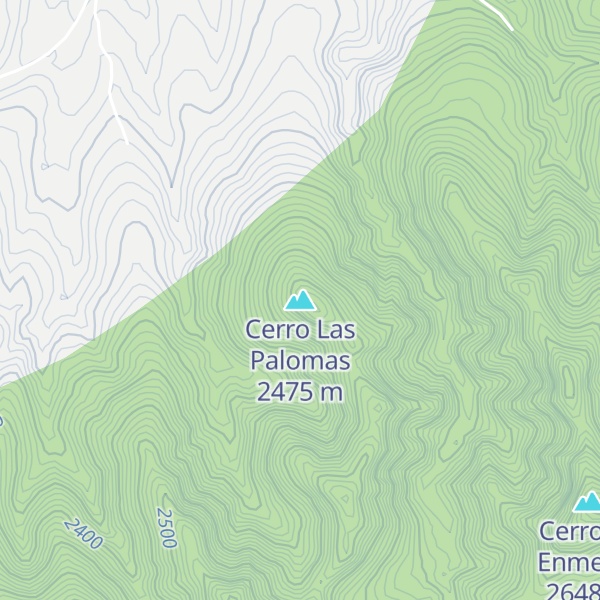 Map of Cerro Las Palomas
