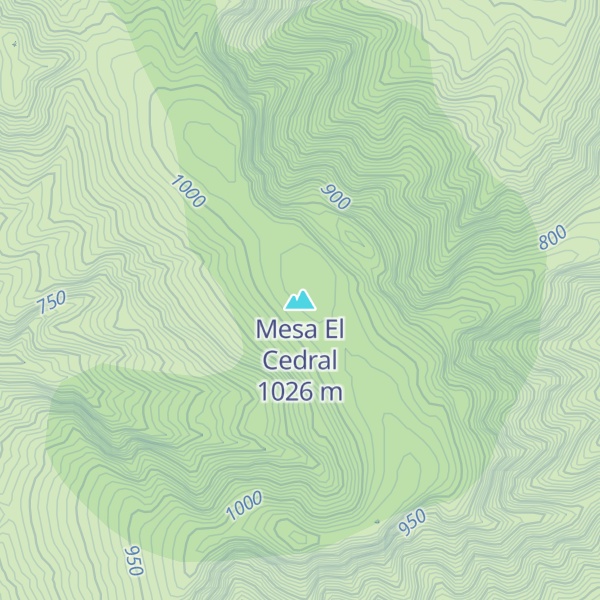 Map of Mesa El Cedral