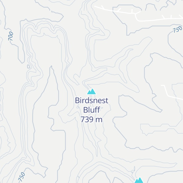Map of Birdsnest Bluff