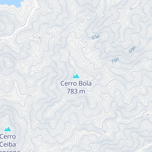 Map of Cerro Bola