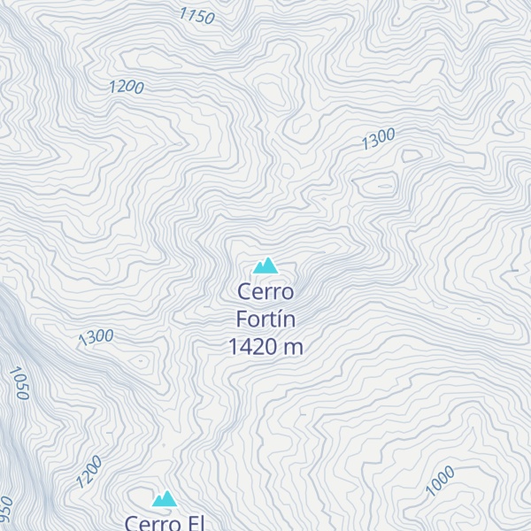 Map of Cerro Fortín