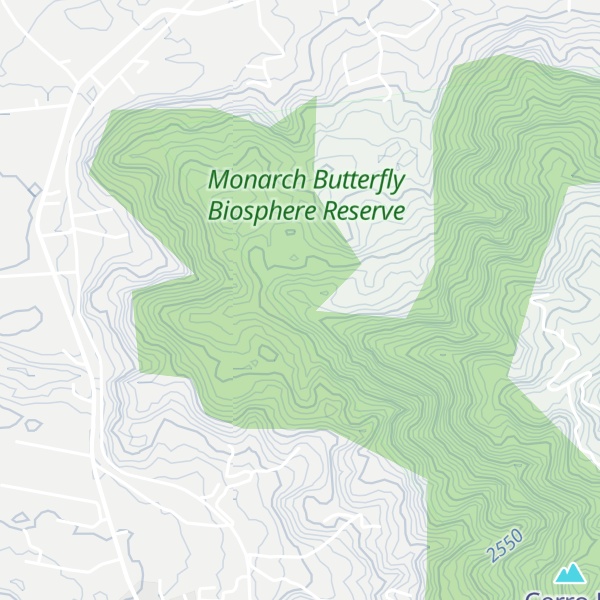 Map of El Mimbre