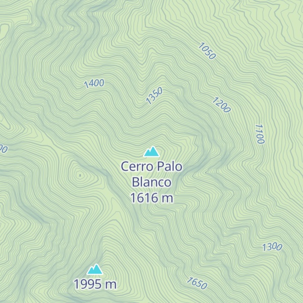 Map of Cerro Palo Blanco