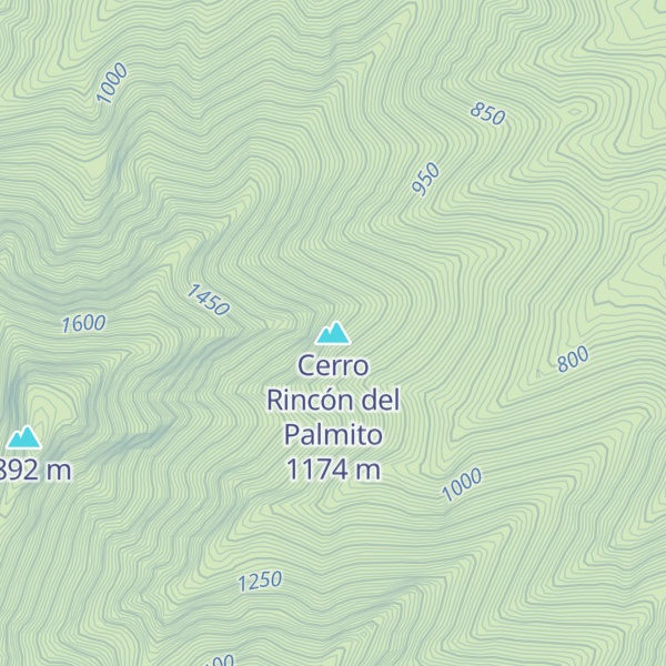Map of Cerro Rincón del Palmito