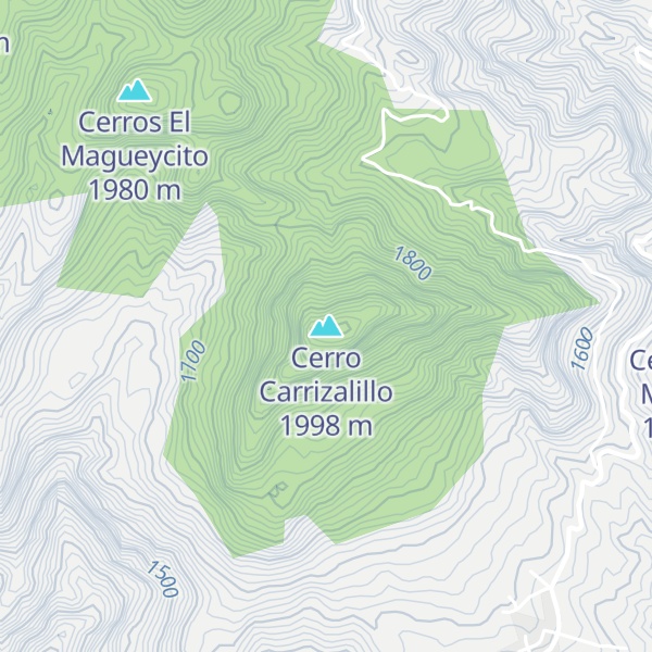 Map of Cerro Carrizalillo