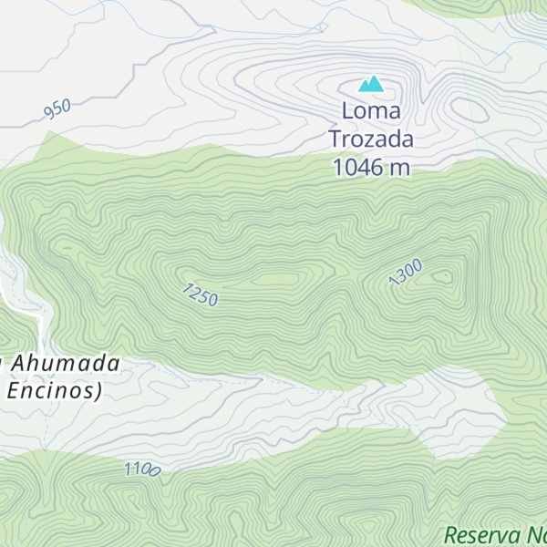 Map of Cerro El Tecolote