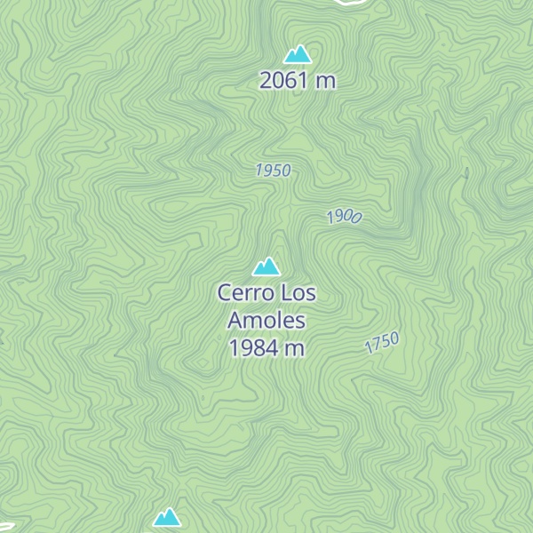 Map of Cerro Los Amoles