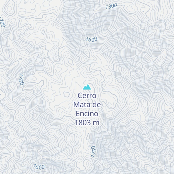 Map of Cerro Mata de Encino