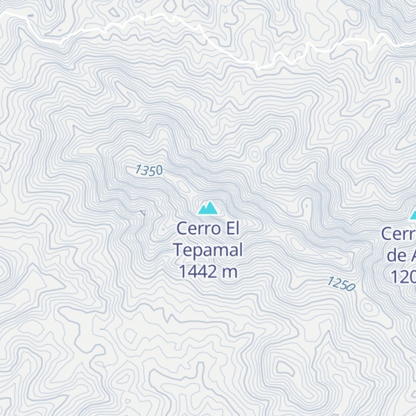 Map of Cerro El Tepamal