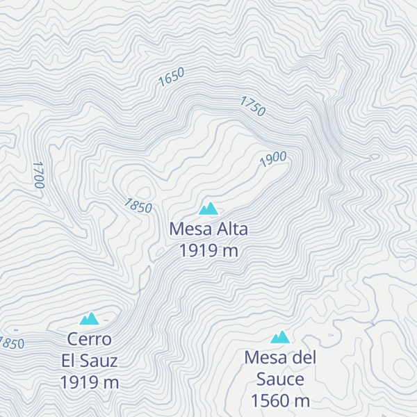 Map of Mesa Alta