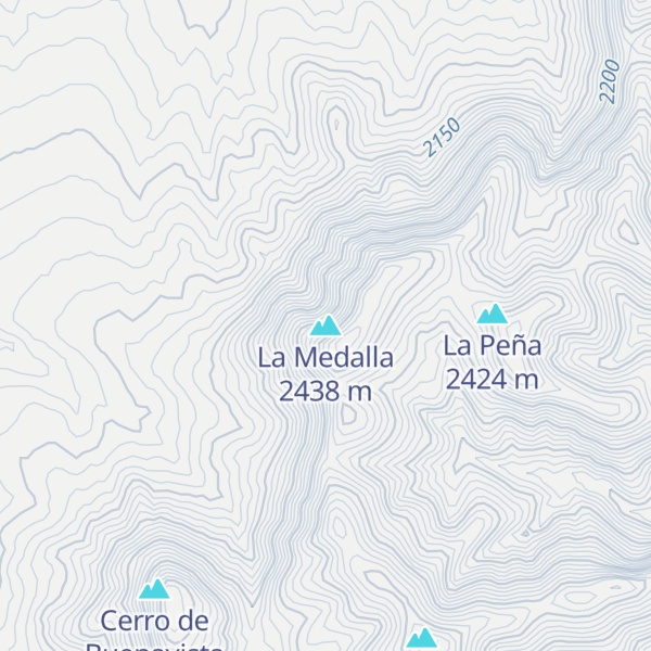 Map of La Medalla