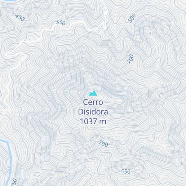 Map of Cerro Disidora