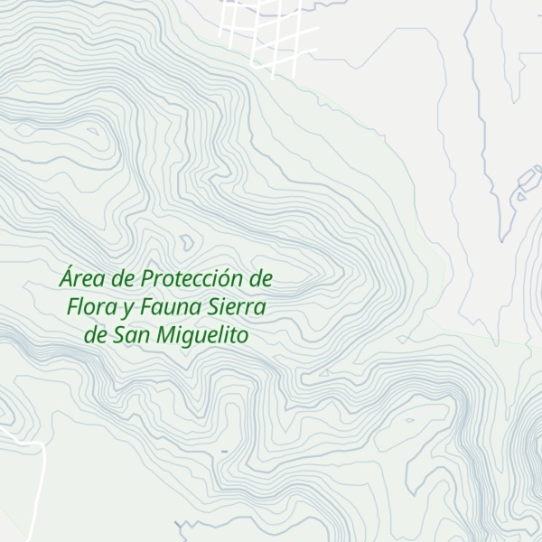 Map of Cerro Flores