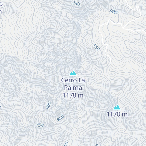 Map of Cerro La Palma