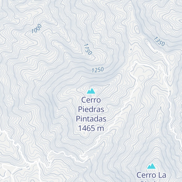 Map of Cerro Piedras Pintadas
