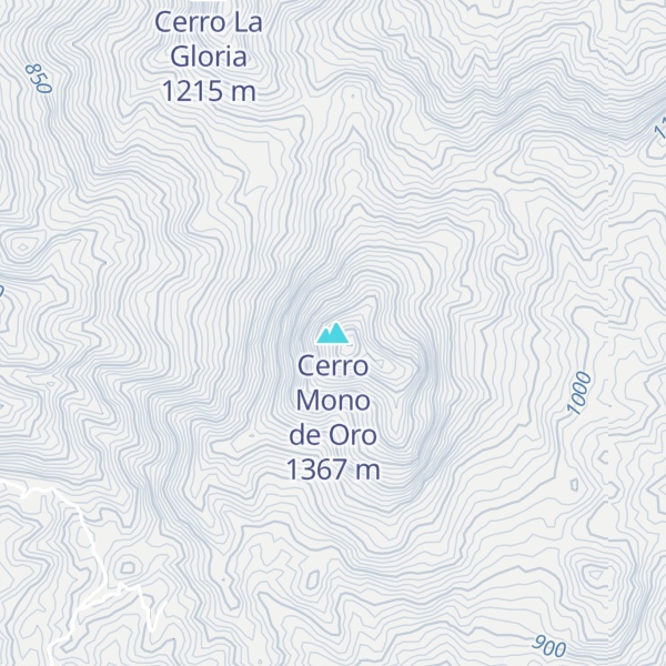 Map of Cerro Mono de Oro