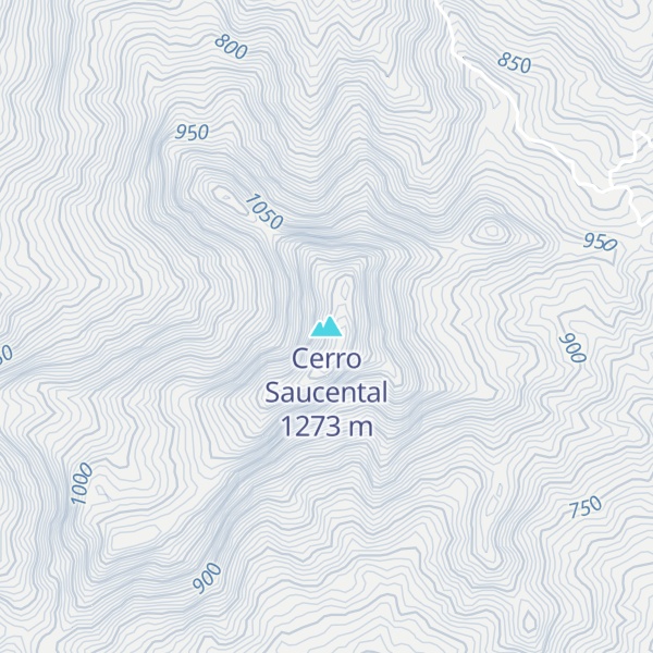 Map of Cerro Saucental