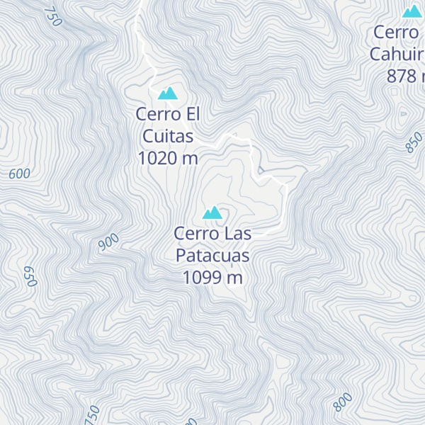 Map of Cerro Las Patacuas