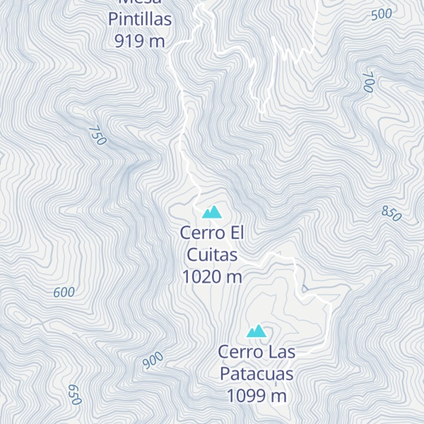 Map of Cerro El Cuitas