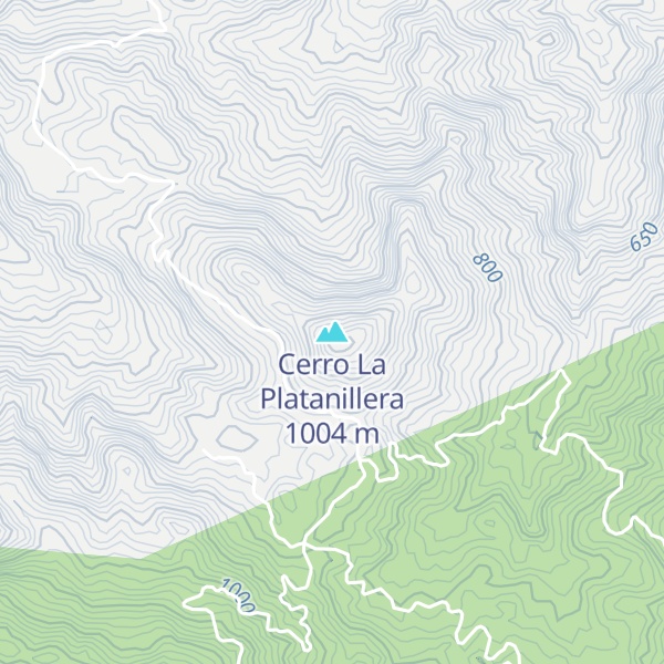 Map of Cerro La Platanillera