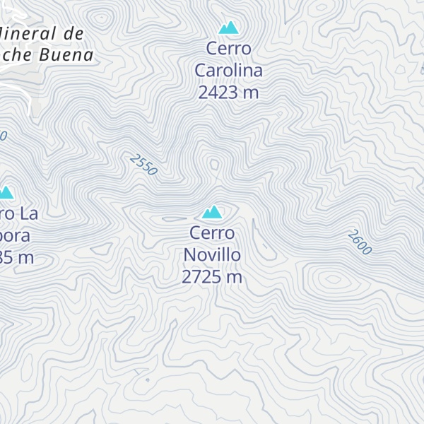 Map of Cerro Novillo