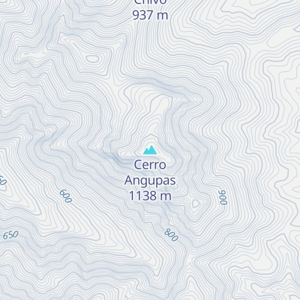 Map of Cerro Angupas