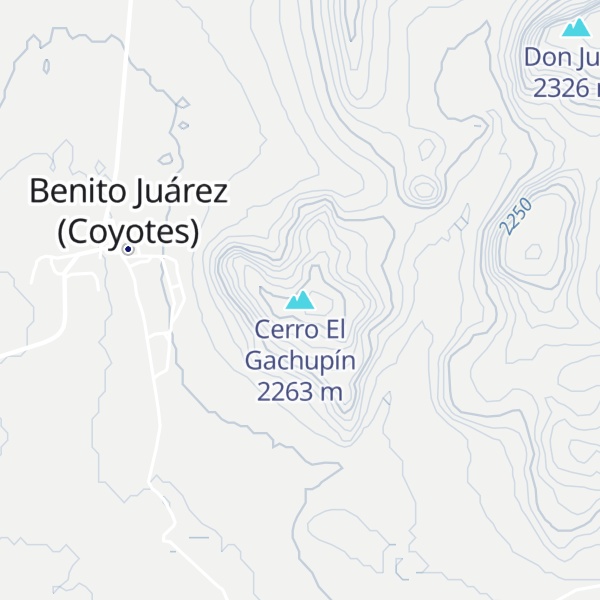 Map of Cerro El Gachupín