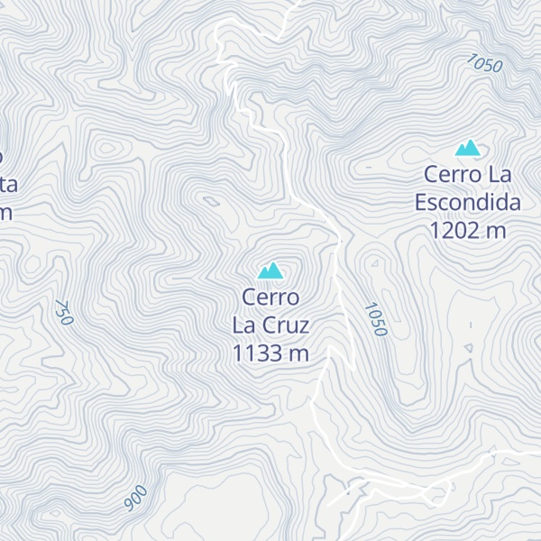 Map of Cerro La Cruz