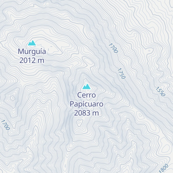 Map of Cerro Papícuaro