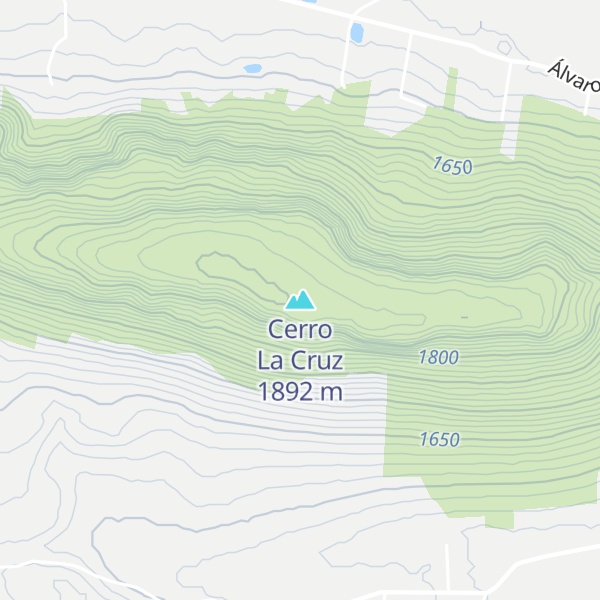 Map of Cerro La Cruz