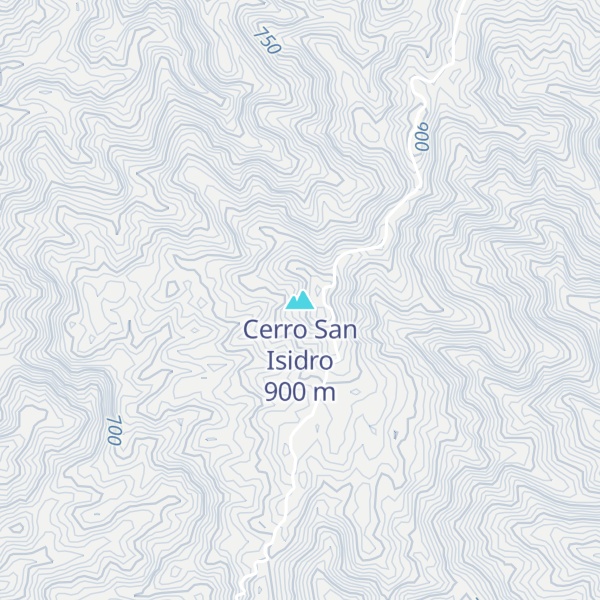 Map of Cerro San Isidro