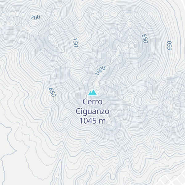 Map of Cerro Ciguanzo