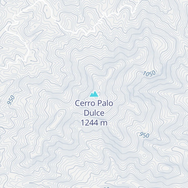 Map of Cerro Palo Dulce