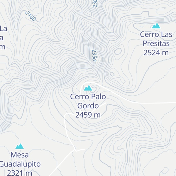 Map of Cerro Palo Gordo