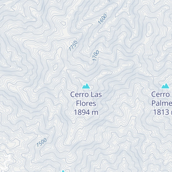 Map of Cerro Las Flores