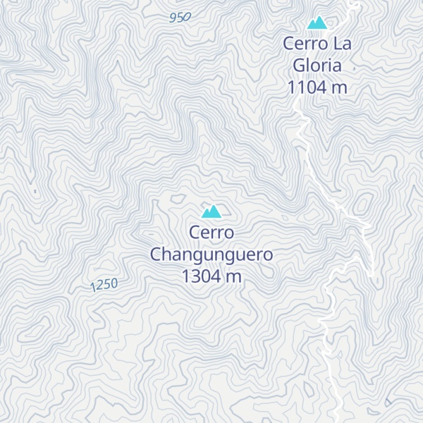 Map of Cerro Changunguero