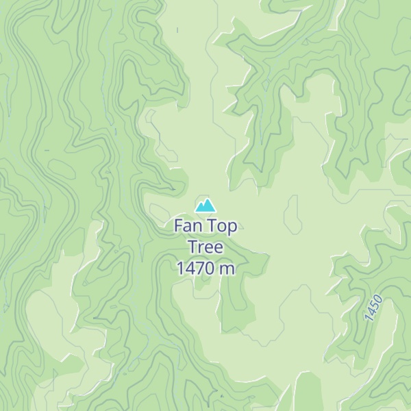 Map of Fan Top Tree