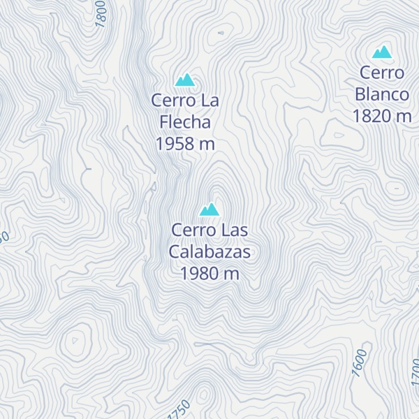 Map of Cerro Las Calabazas