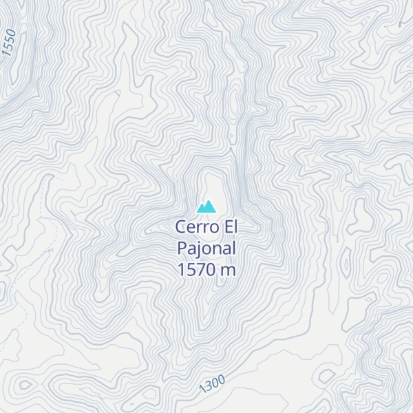 Map of Cerro El Pajonal