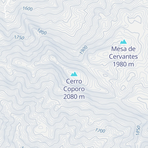 Map of Cerro Coporo