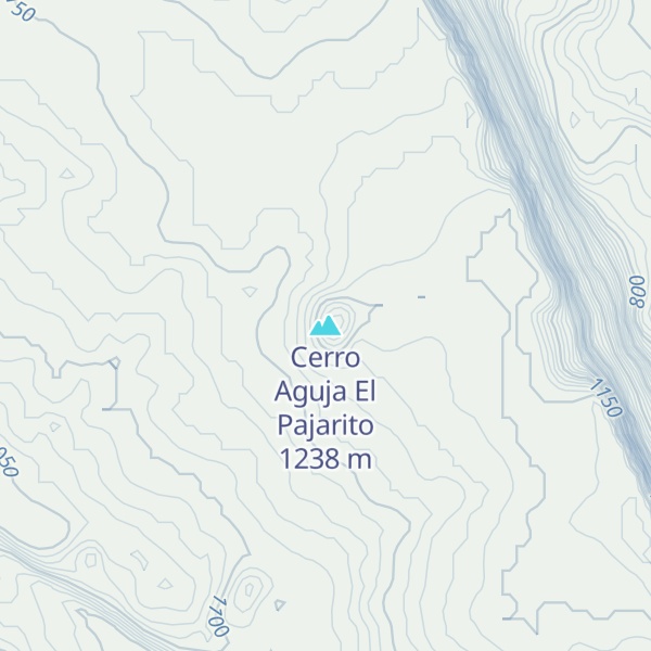 Map of Cerro Aguja El Pajarito
