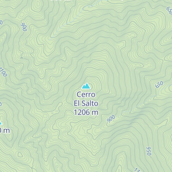 Map of Cerro El Salto