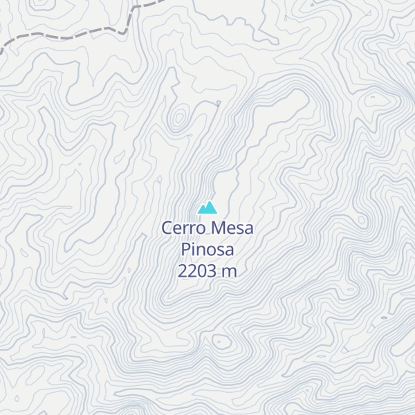 Map of Cerro Mesa Pinosa