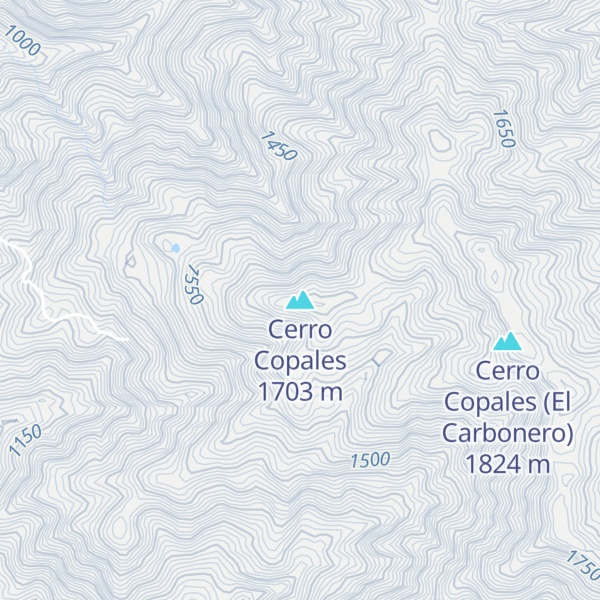 Map of Cerro Copales
